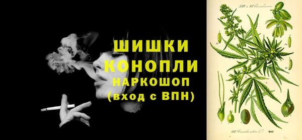 спиды Елабуга