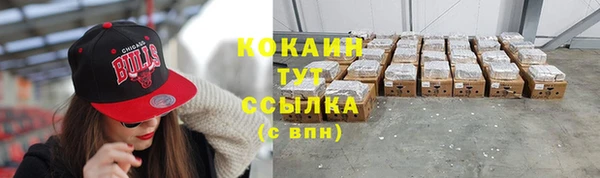 метамфетамин Ельня