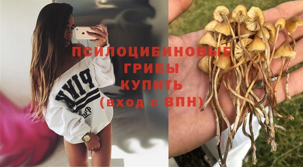 спиды Елабуга