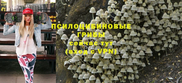 метамфетамин Ельня