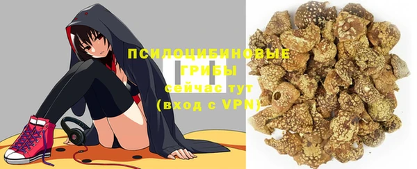 спиды Елабуга