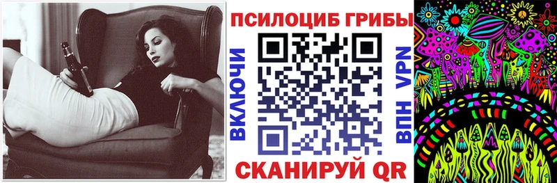 Купить закладки  Куйбышев  Галлюциногенные грибы Psilocybe 